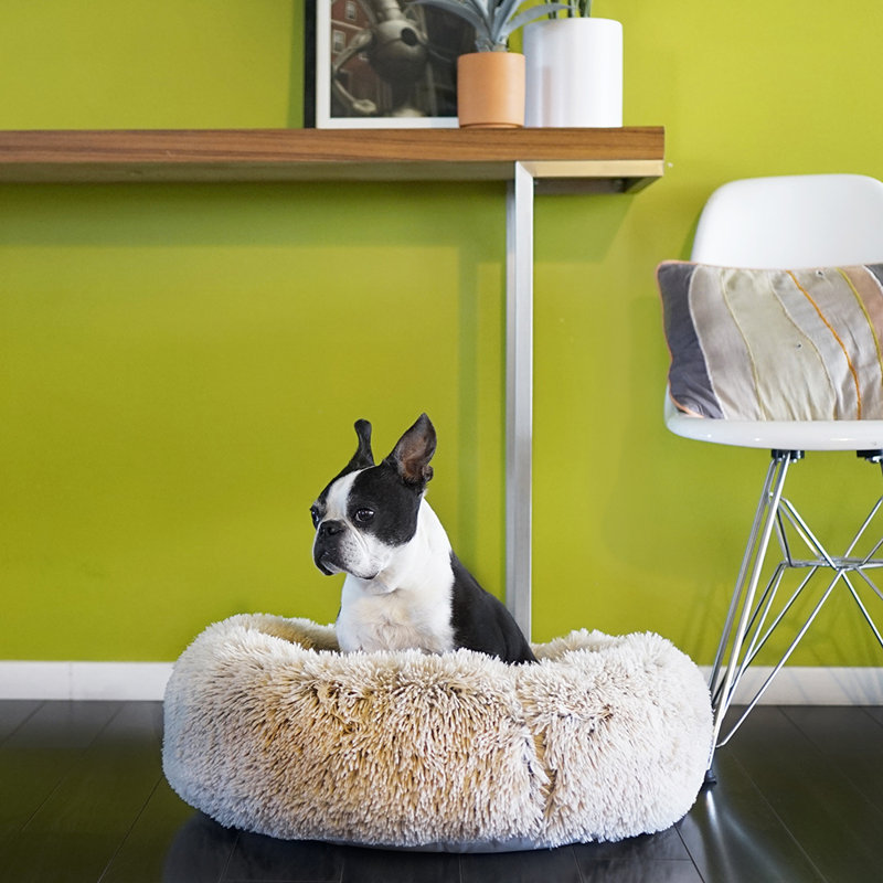 round plush dog bed